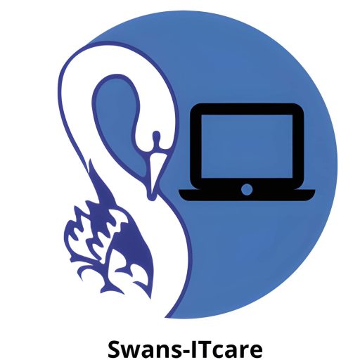 Computer repair, swan and computers